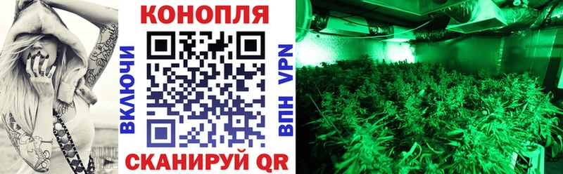 Конопля сатива Нижний Тагил